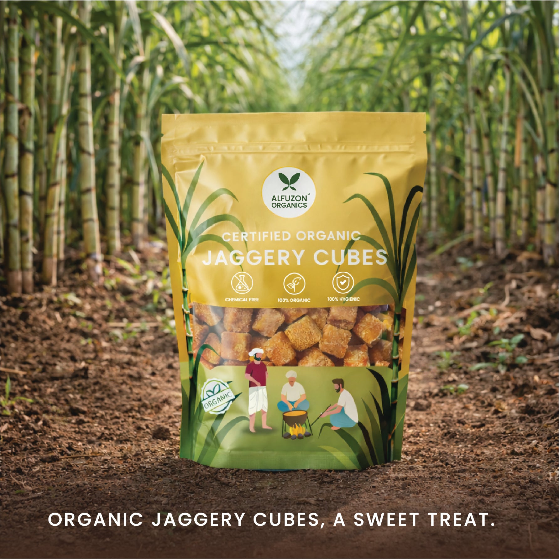 Organic Jaggery Cubes | Pure, Chemical Free, Unrefined Sweetener (500 GM)